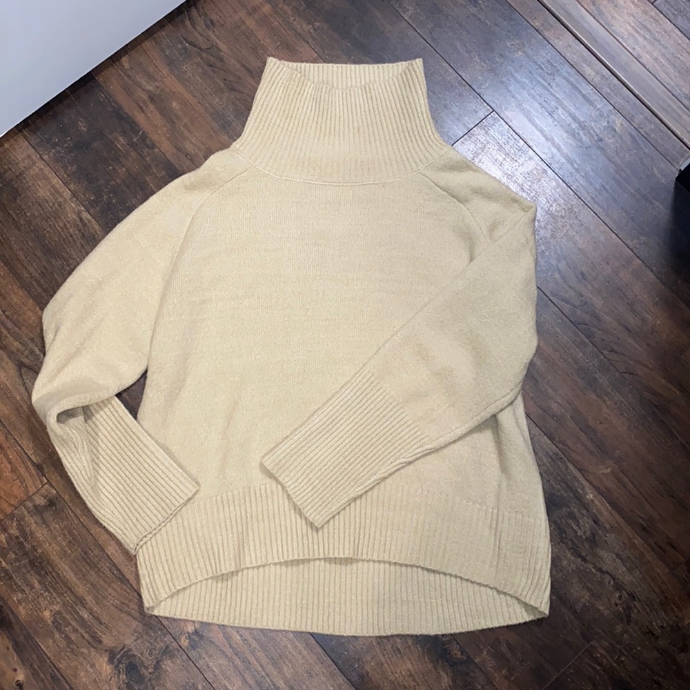 Pink Lily loose turtle neck sweater